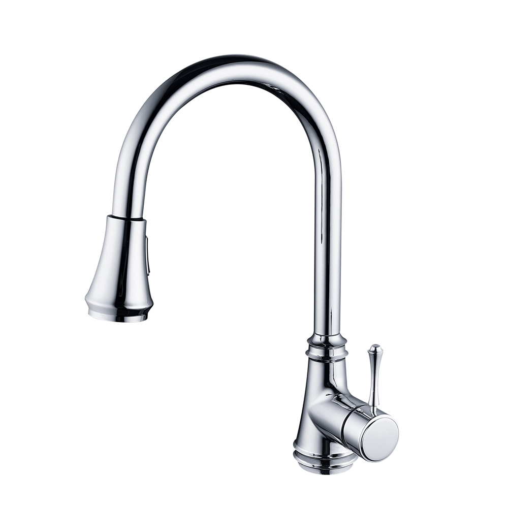 Kitchen Faucets